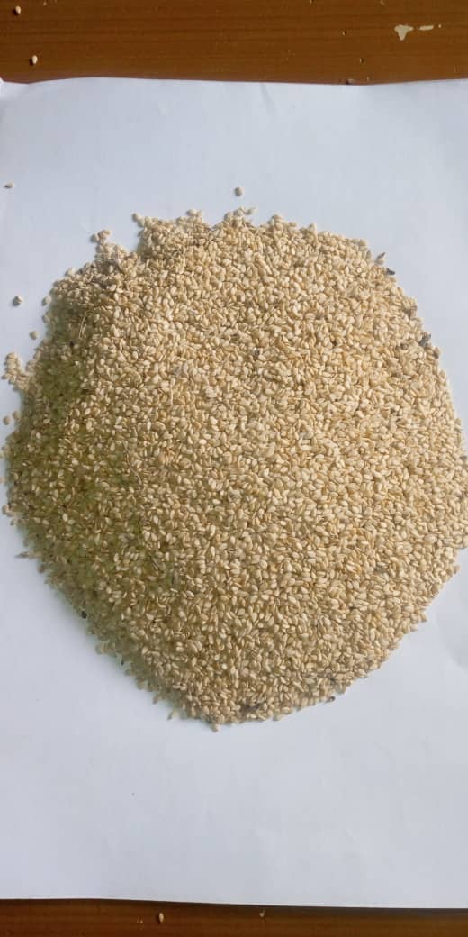 Sesame Seeds Sourcing