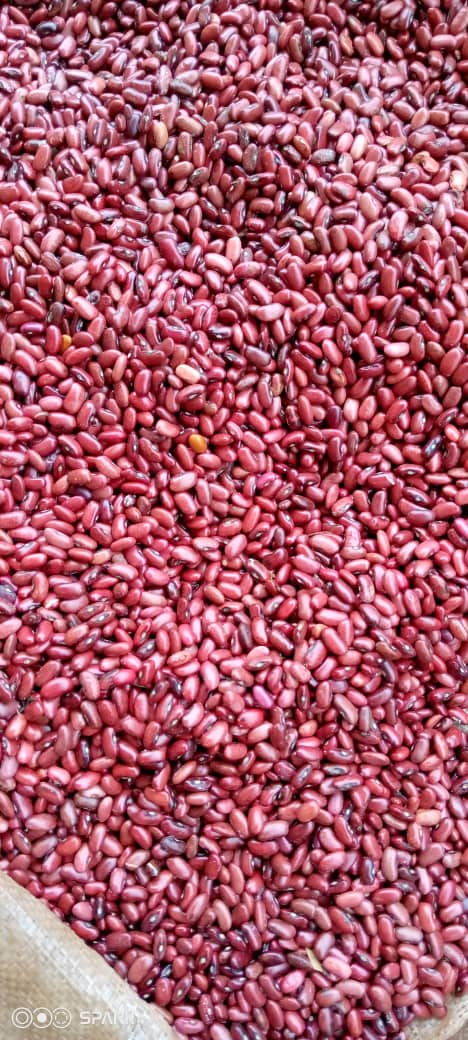 Kidney Beans