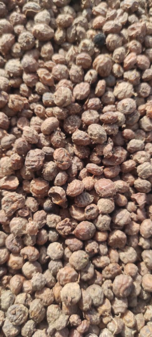 Tigernuts