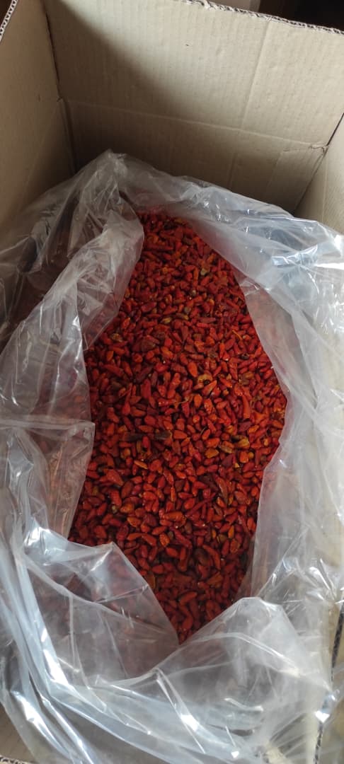 Packaged Chilli Pepper