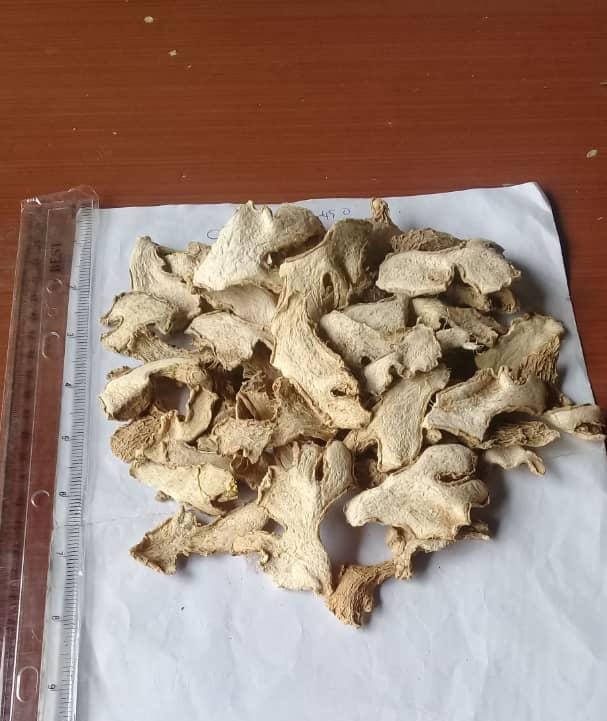 Ginger Sample